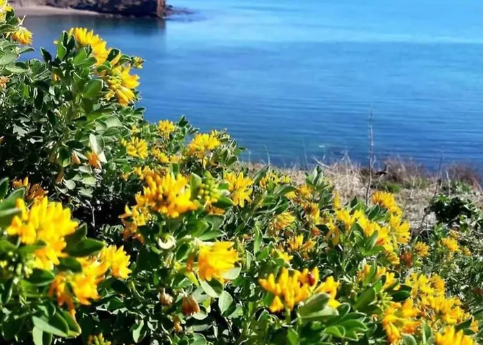 Cap D'agde Mediterranee アパート